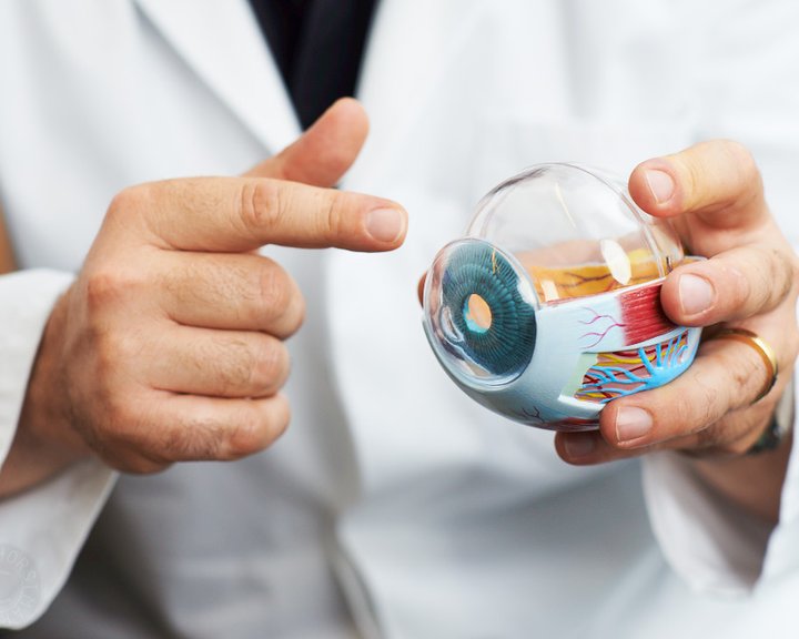 Ein Arzt in weißem Kittel hält ein anatomisches Modell des menschlichen Auges in den Händen und zeigt auf die Iris.